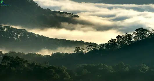  best time to visit Dharamshala